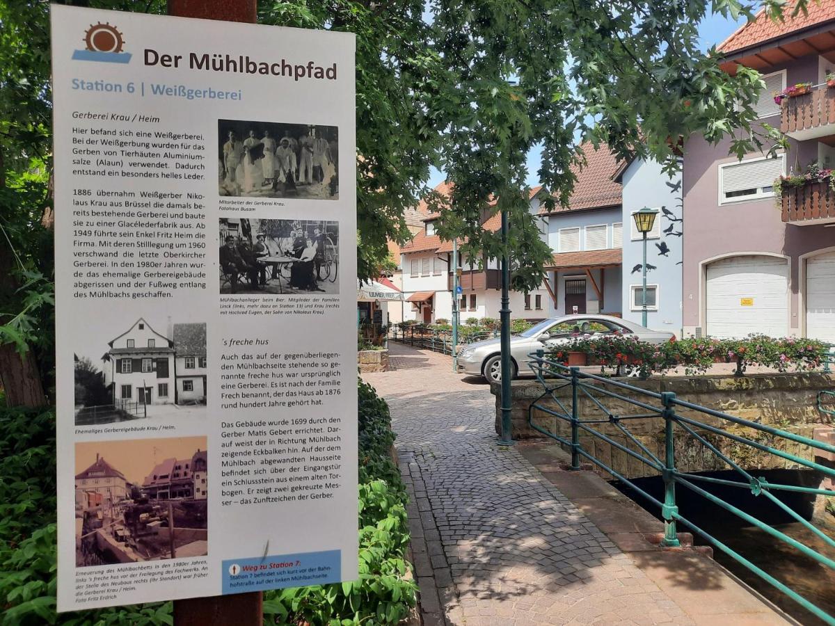 Ferienwohnung Altstadthaus Oberkirch  Eksteriør billede