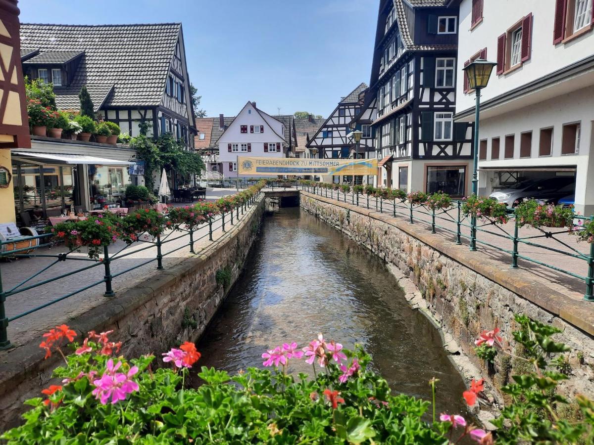 Ferienwohnung Altstadthaus Oberkirch  Eksteriør billede
